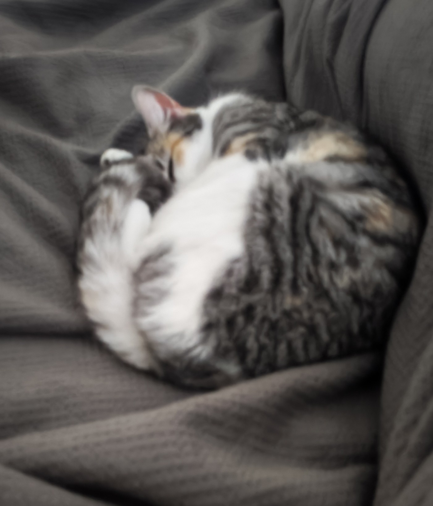 013Q4MQHYAPCSLBPTYWBAZLQTXST5M2FZ5.jpg