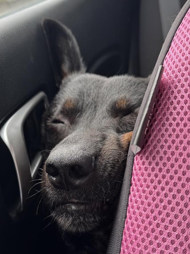 013Q4MQHYFK3WNR3RH7REZ2NZSMGCNT77M.jpg