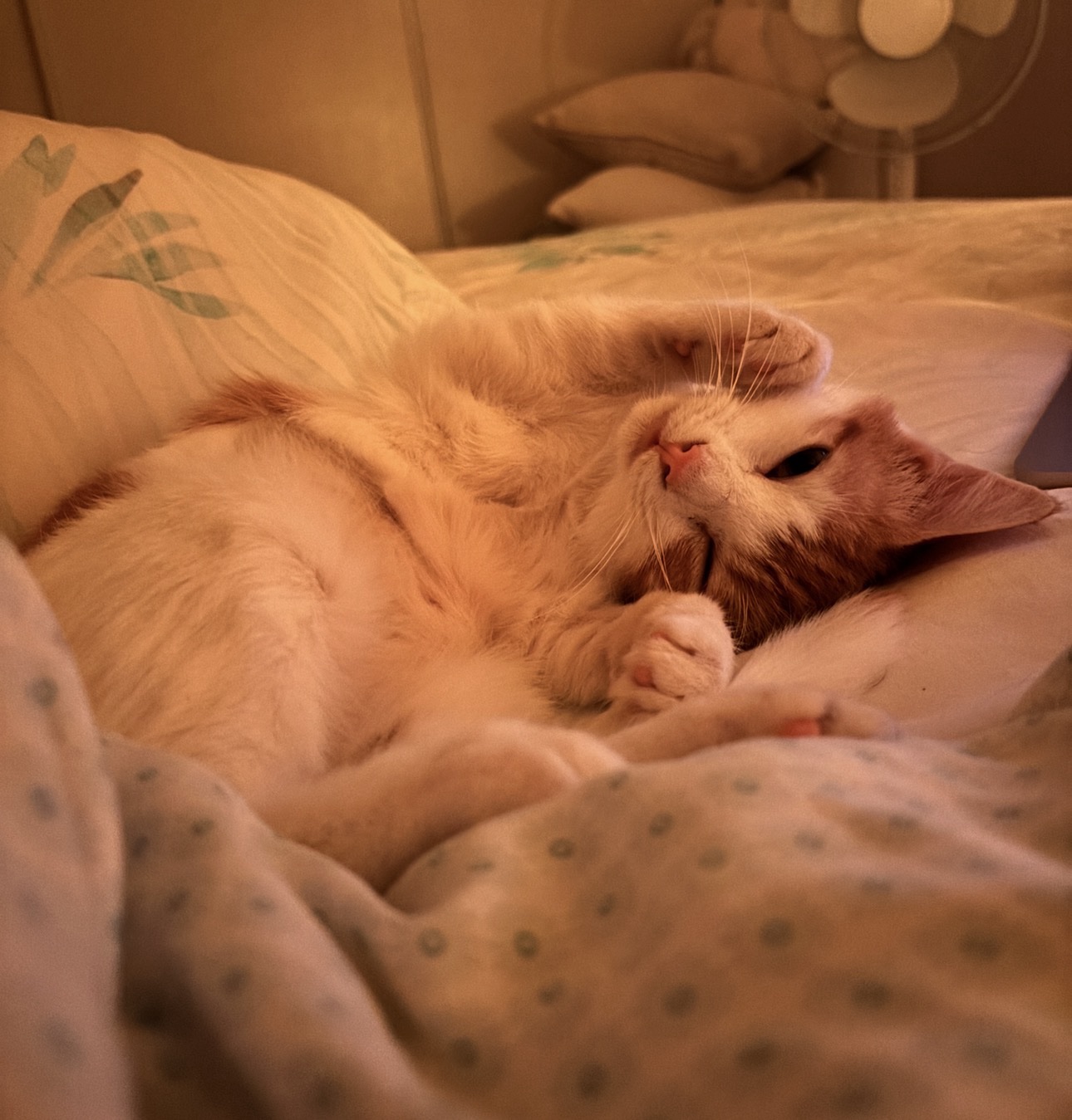 013Q4MQHYPQAQPIAGGNJALH7YCFK3HIS67.jpg