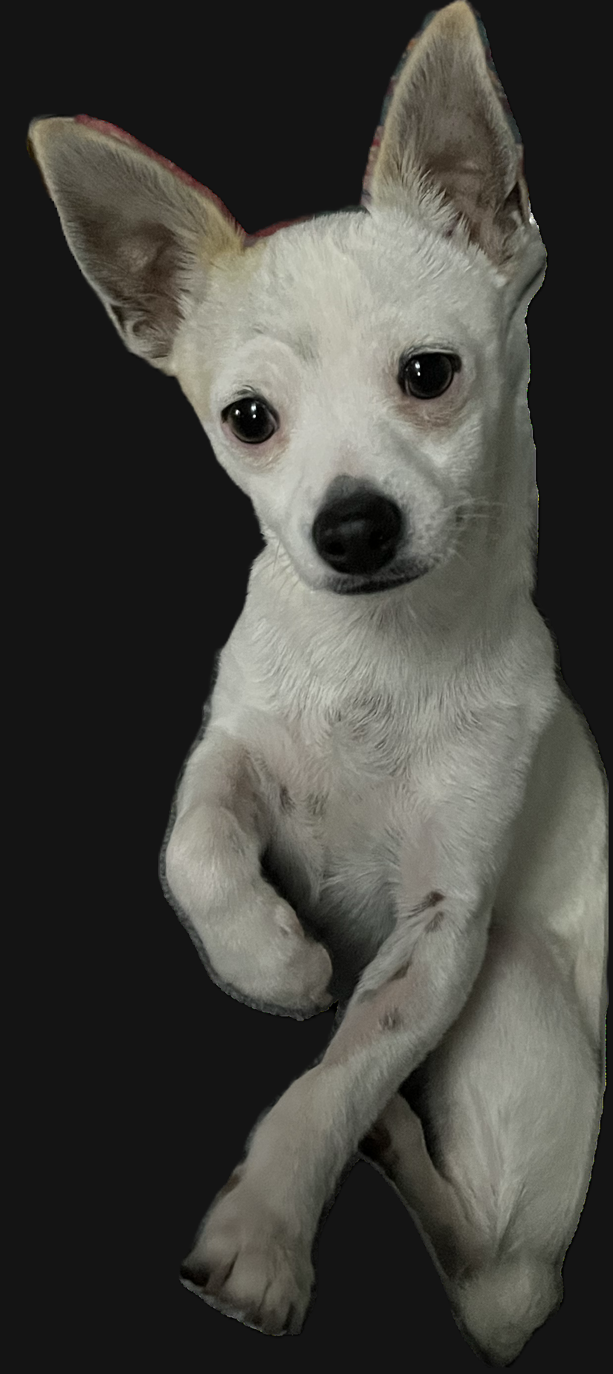 013Q4MQHYYHONYFZI4PRGZJAHWT3K7VIZI.png