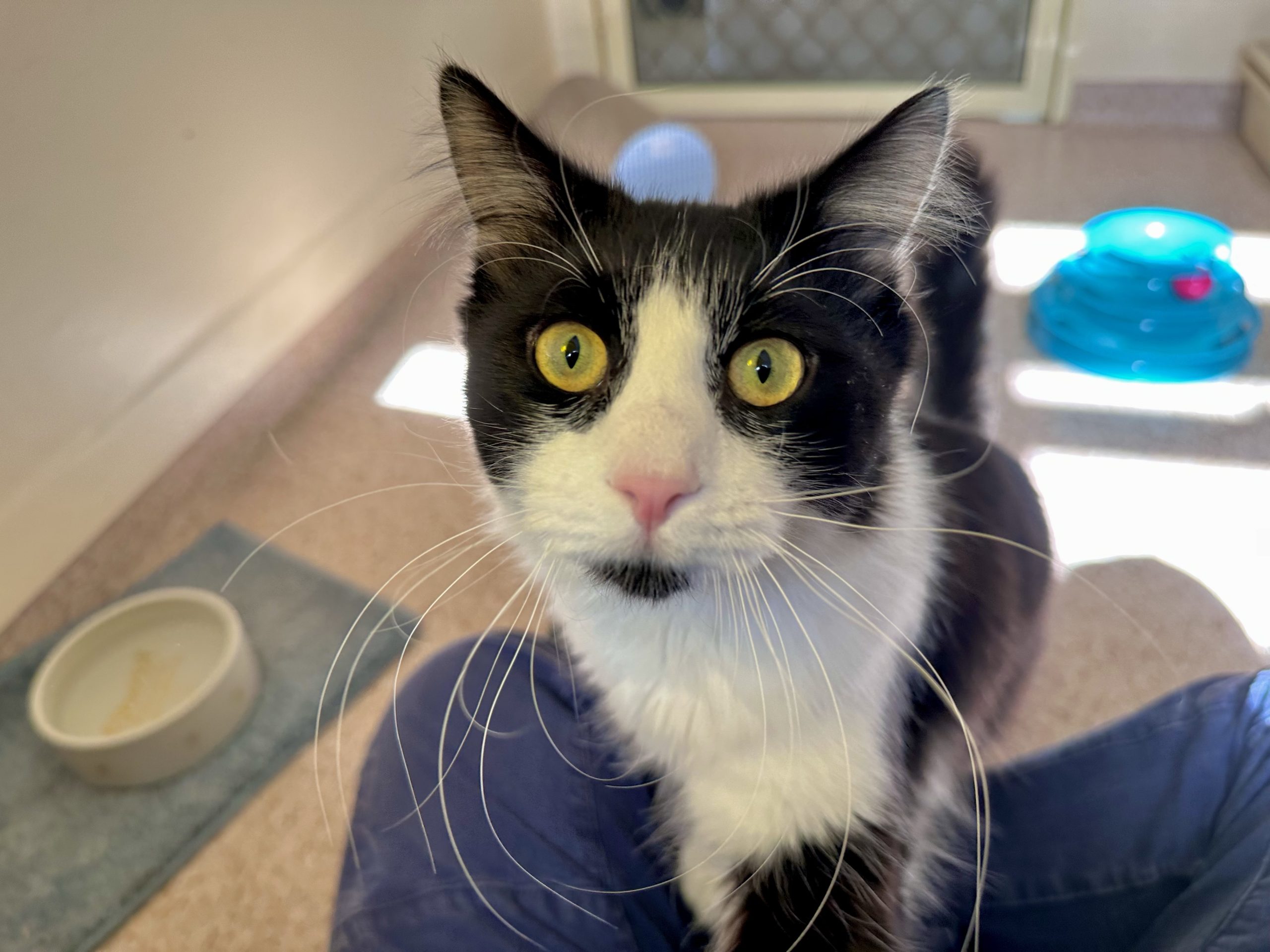 013Q4MQHZ3WIDXQ4HQVFDLR2AQ7VALL5CZ.jpg