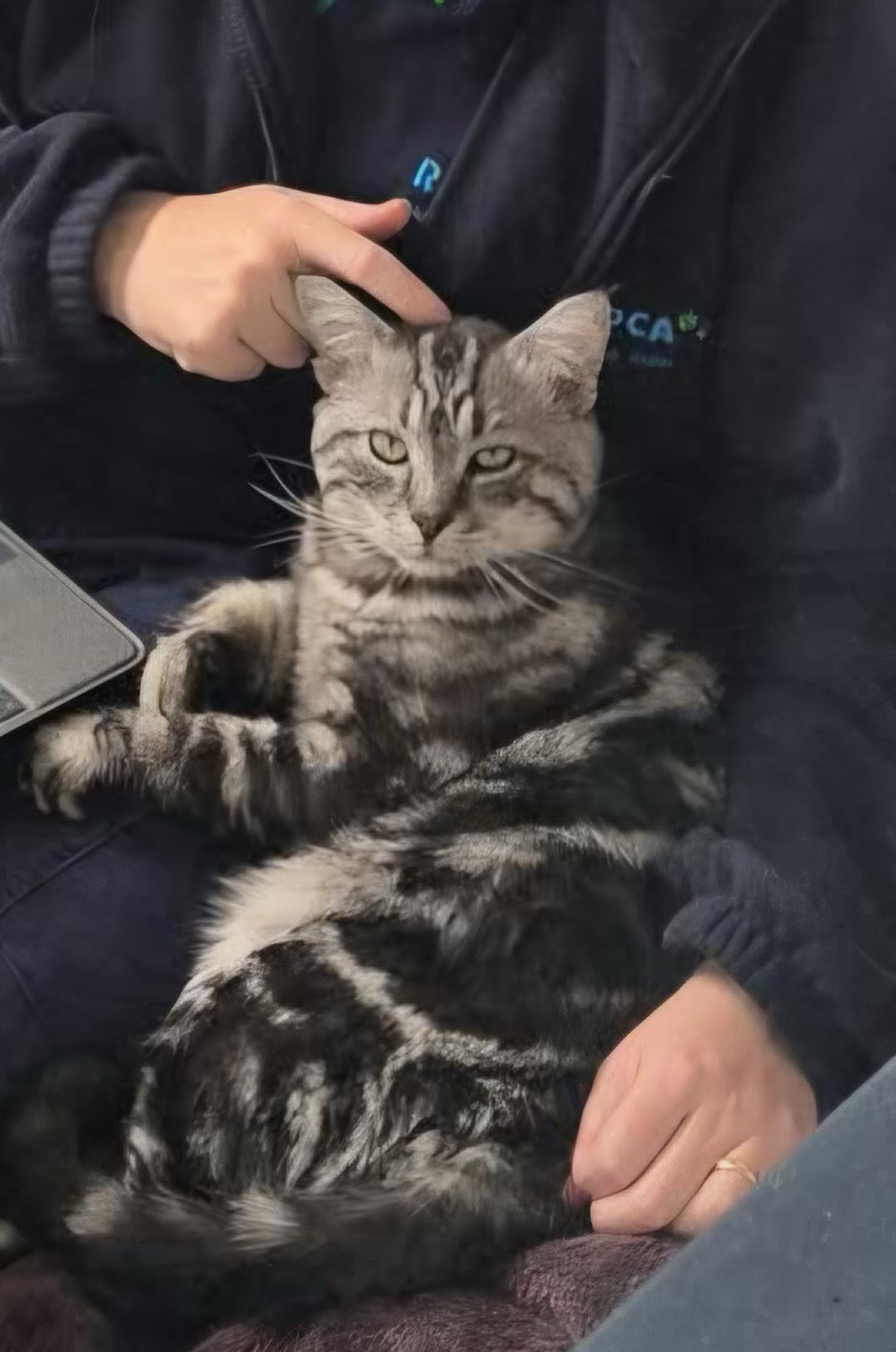 Leonardo