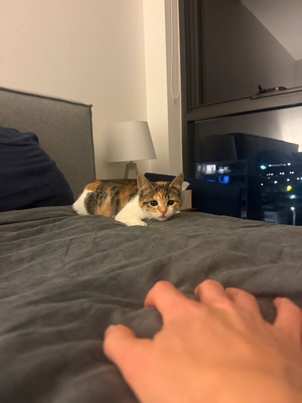 013Q4MQHZBVVDKKBYGYFAI7NPAP3TXBMVM.jpg