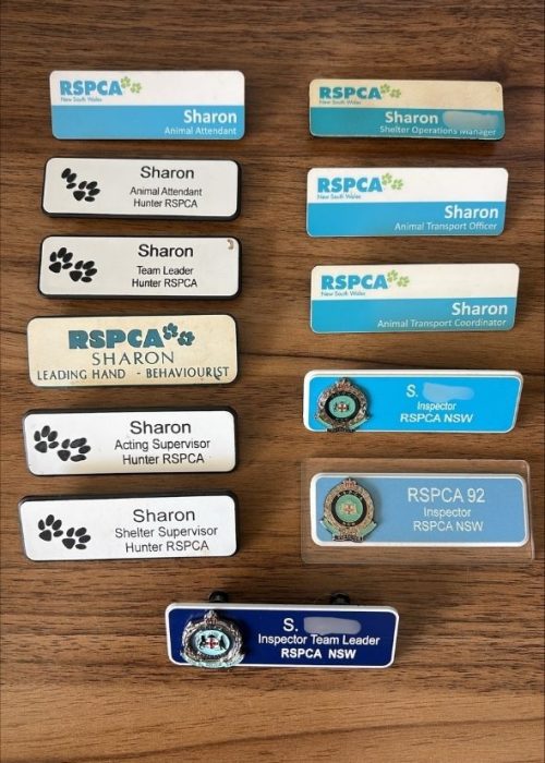 Badges edited