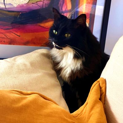 Bella post 2