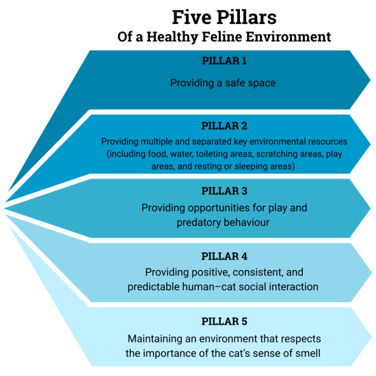 Cat=ch Up Pop Up (8)