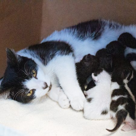 MumBubs-0763840-0188